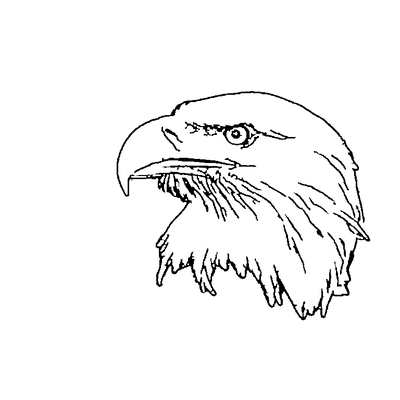 Cut-ready vector line art of a bald eagle produced by the AI converter