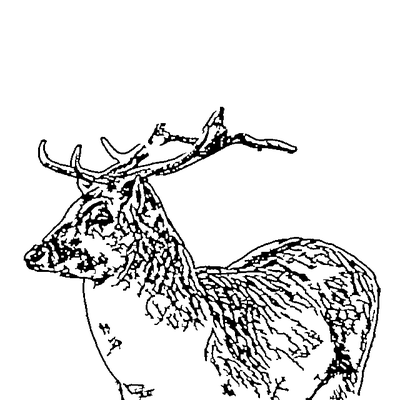Glowforge-ready vector line art of a deer stag produced by the AI converter