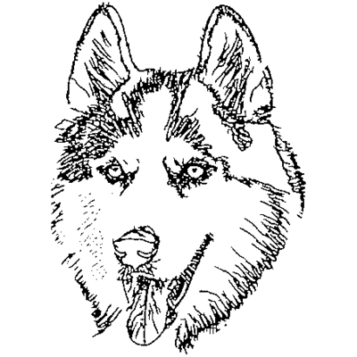 Clean vector lineart of a Husky dog after AI conversion