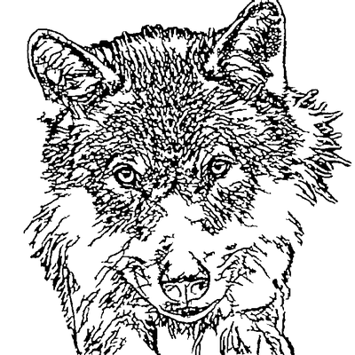 Engraving-ready vector line art of a grey wolf produced by the AI converter