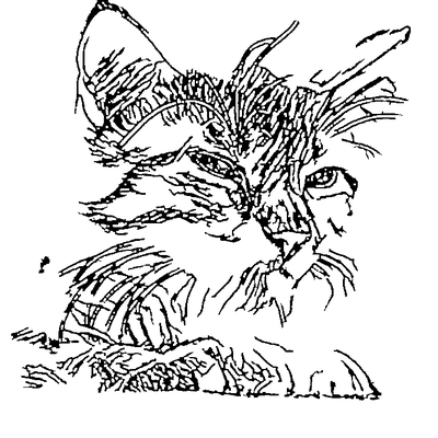 LightBurn-ready vector line art of a cat produced by the AI converter