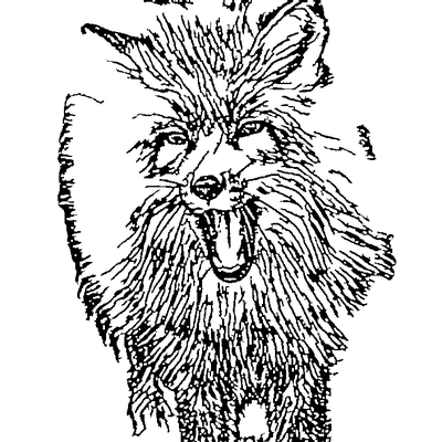 Clean vector line art of a red fox produced by the AI converter