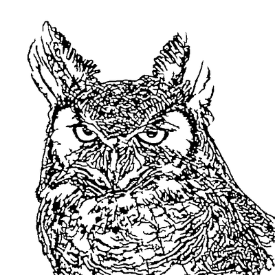 Pyrography-ready vector line art of an owl produced by the AI converter